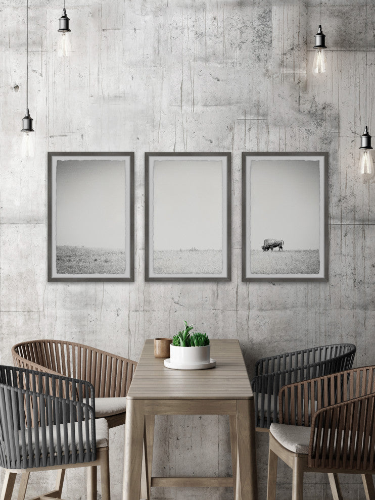A Lone Bison Triptych, Set of 3, 12x18 Panels