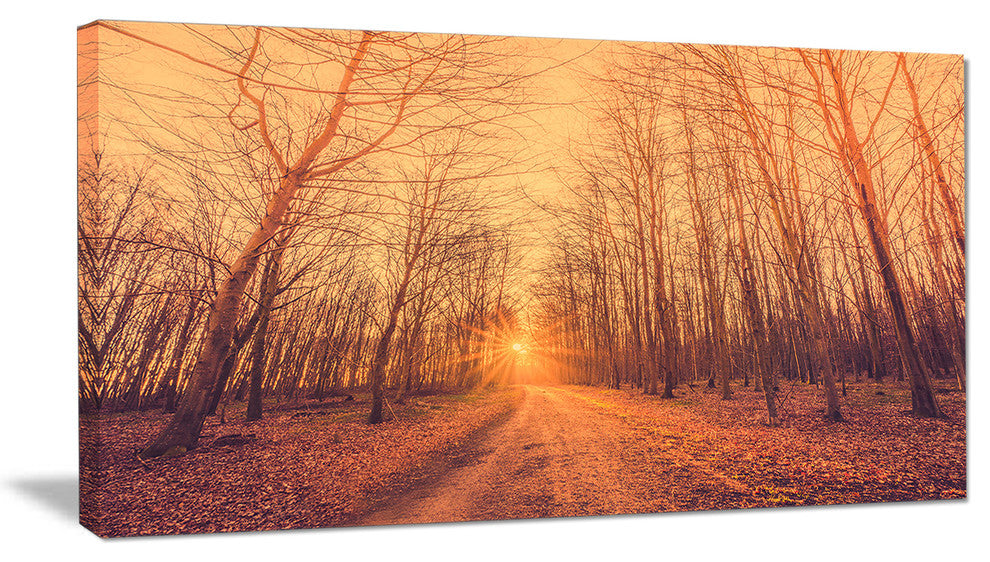 "Forest Road into Sunrise" Landscape Photography Canvas Print, 40"x20"
