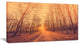 "Forest Road into Sunrise" Landscape Photography Canvas Print, 40"x20"
