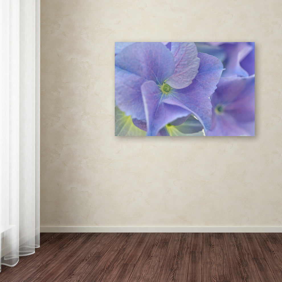 Cora Niele ''Blue Hortensia'' Canvas Art