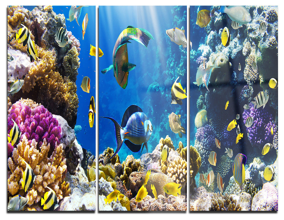 "Fish in Coral Reef" Photography Metal Wall Art, 3 Panels, 36"x28"