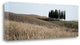 "Val De Orcia Pano - 3" By Alan Blaustein, Giclee Print on Gallery Wrap Canvas