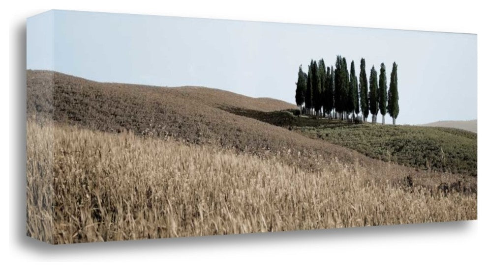 "Val De Orcia Pano - 3" By Alan Blaustein, Giclee Print on Gallery Wrap Canvas