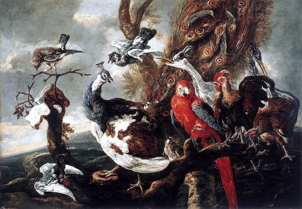 Jan Fyt Concert of Birds - 18" x 27" Premium Canvas Print