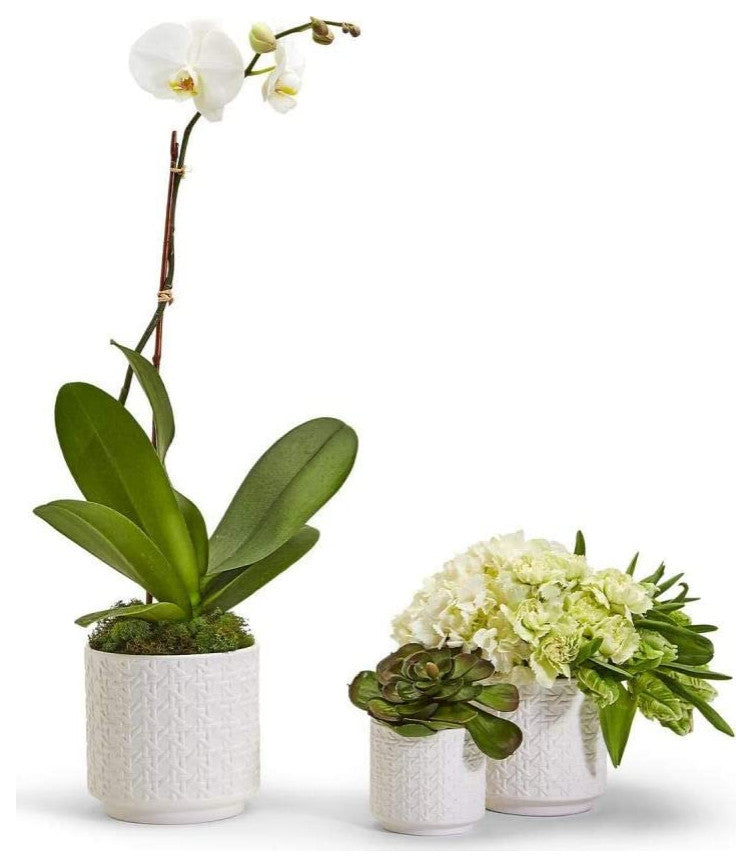 Two's Company Embossed Cane Webbing Pattern Planter, Set of 3