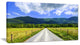 Sparks Lane in Cades Cove, Landscape Canvas Art Print, 40x20