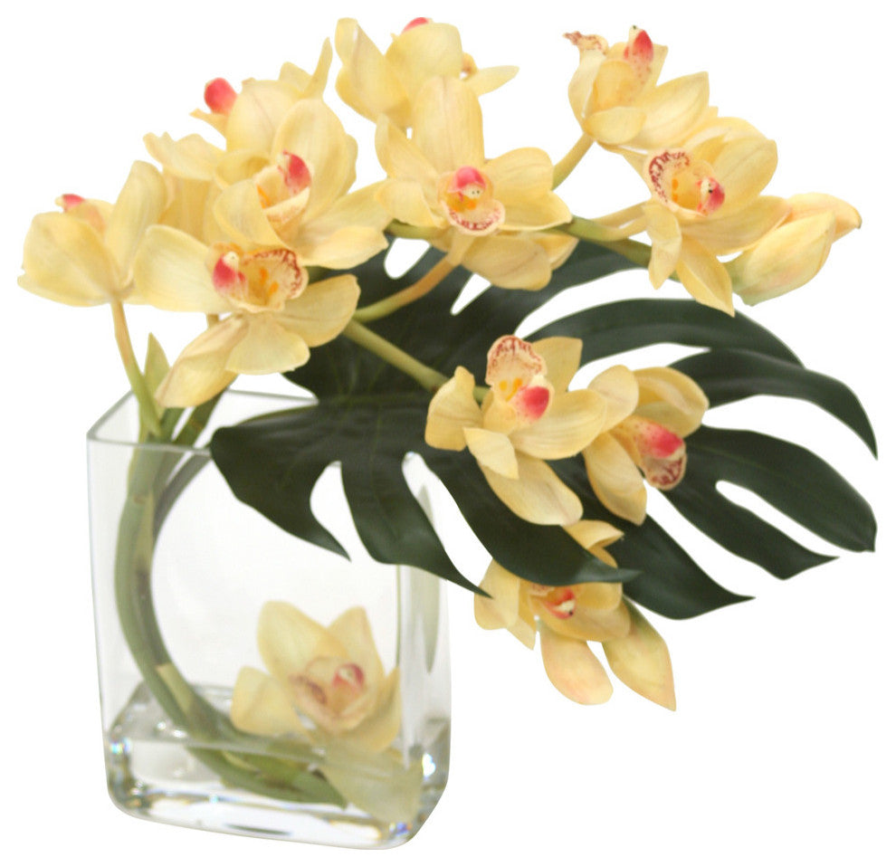 WaterlookÂ® Champagne-Burgundy Cymbidium Orchids with Split Philo Leaf