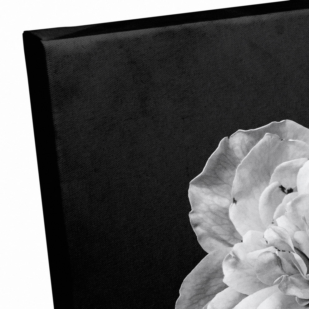 White Flower on Black Background Print on Canvas
