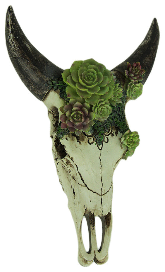Aged Bull Skull with Succulent Plants Hanging Statue