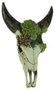 Aged Bull Skull with Succulent Plants Hanging Statue