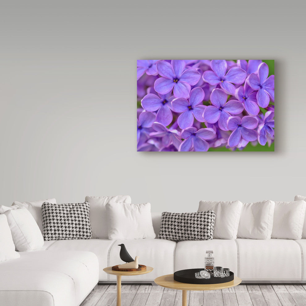 Cora Niele 'Lilac Flower' Canvas Art, 47"x30"