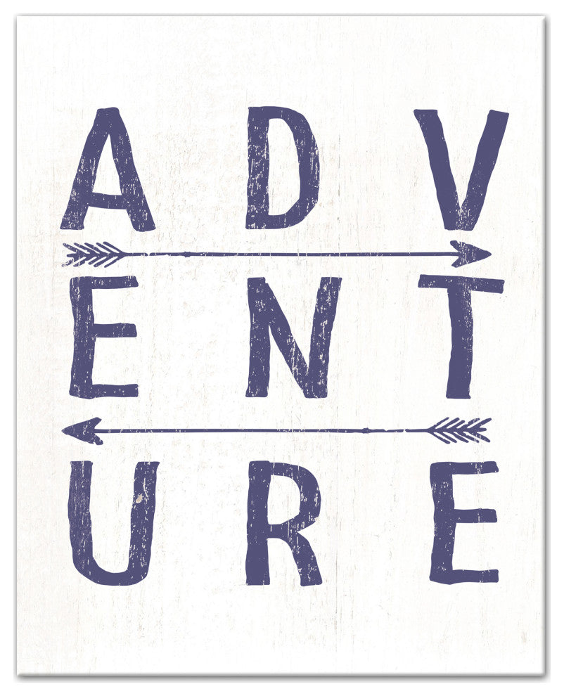 Adventure Arrows 16x20 Canvas Wall Art