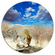 Leopard Feeding On Tree Trunk, African Round Wall Art, 11"