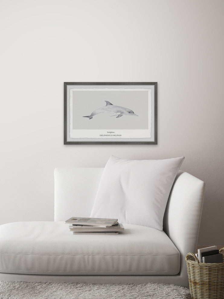 "Delphinus Delphis" Framed Painting Print, 18x12
