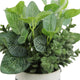Admired By Nature Artificial Mixed Garden Foliage Plant With Striped Ceramic Pot