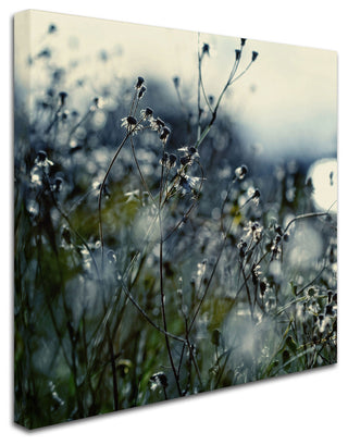 'In Silence' Canvas Art by Beata Czyzowska Young