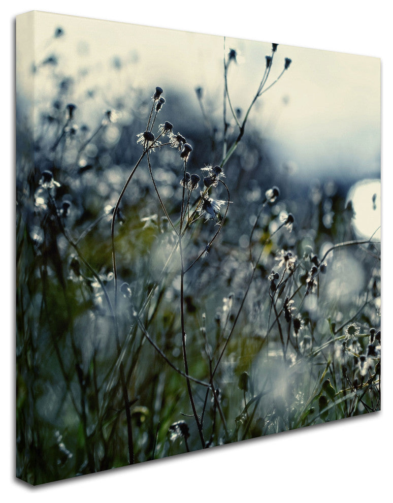 'In Silence' Canvas Art by Beata Czyzowska Young