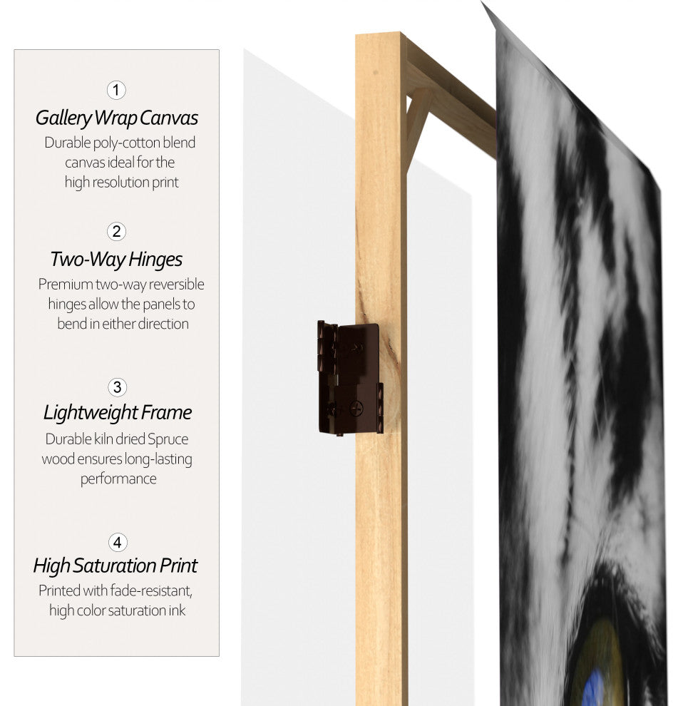 6' Tall Double Sided Tiger Room Divider