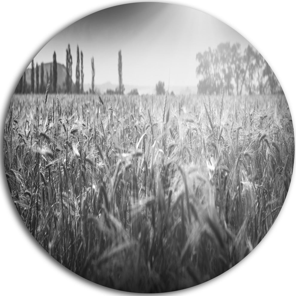 Black And White Wheat Field, Landscape Disc Metal Wall Art, 11"
