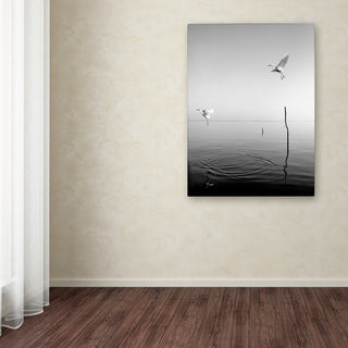"Flying" Canvas Art by Moises Levy
