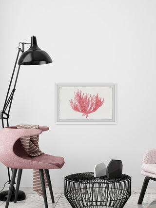 "Lone Coral" Framed Painting Print, 30"x20"