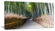 "Straight Path in Bamboo Forest" Forest Canvas Wall Art Print, 32"x16"