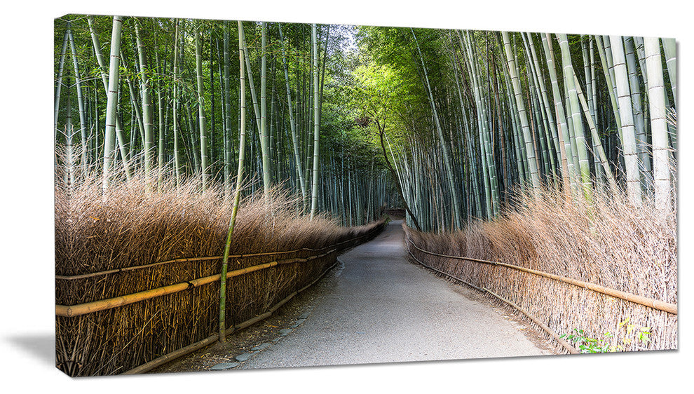 "Straight Path in Bamboo Forest" Forest Canvas Wall Art Print, 32"x16"