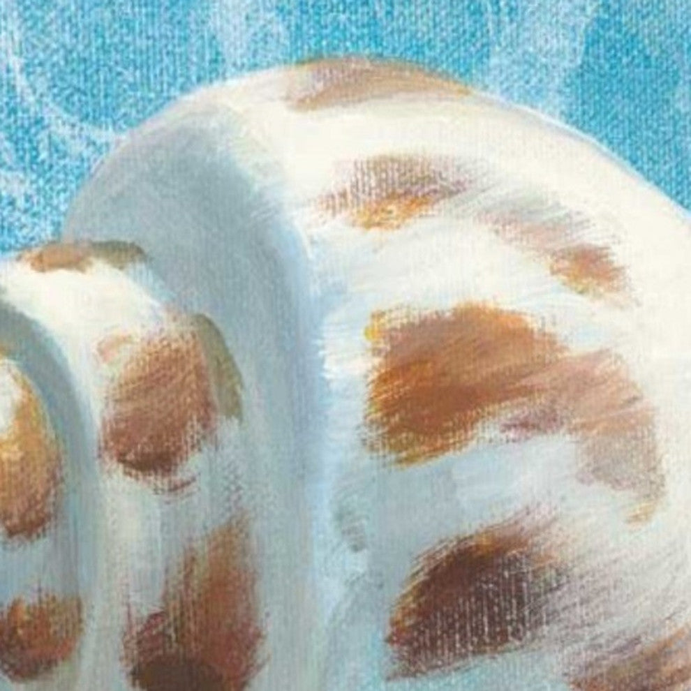 30" Mod Blue Scroll Coastal Conch 2 Giclee Wrap Canvas Wall Art