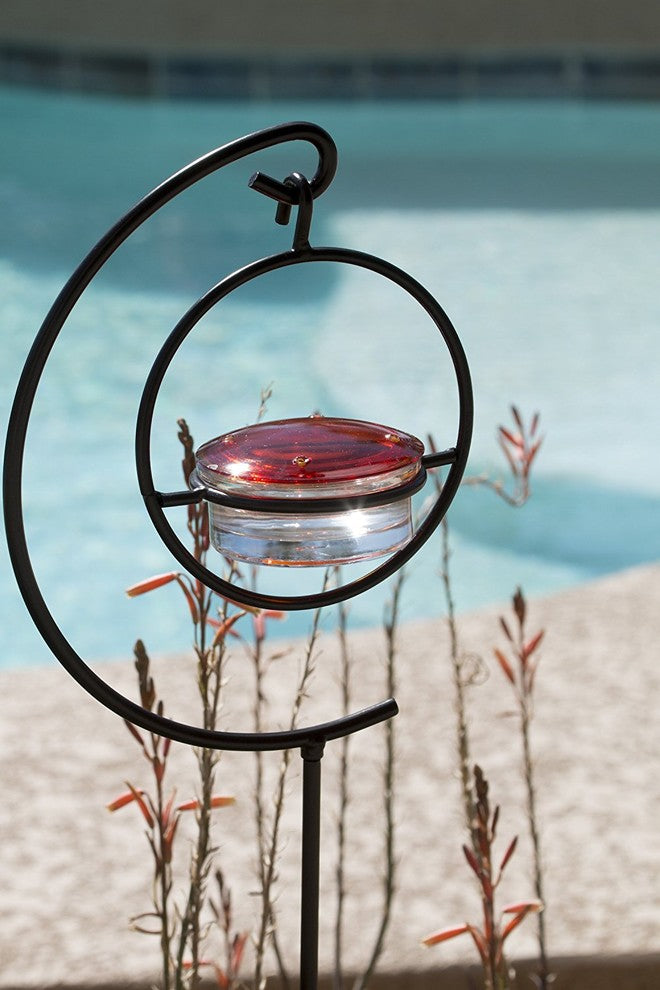Hummingbird Feeder Stand
