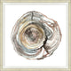 Tree Rings 2, Giclee Reproduction Artwork