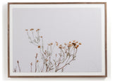 In The Details I By Annie Spratt