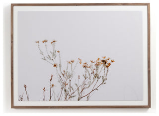 In The Details I By Annie Spratt