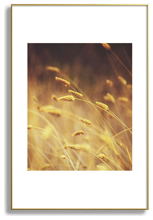 Shannon Clark Amber Metal Framed Art Print