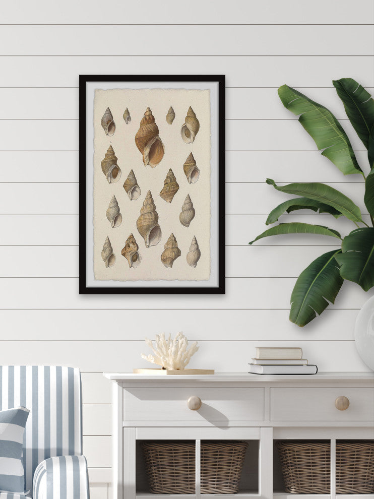 "Handful of Shells" Framed Painting Print, 24x36