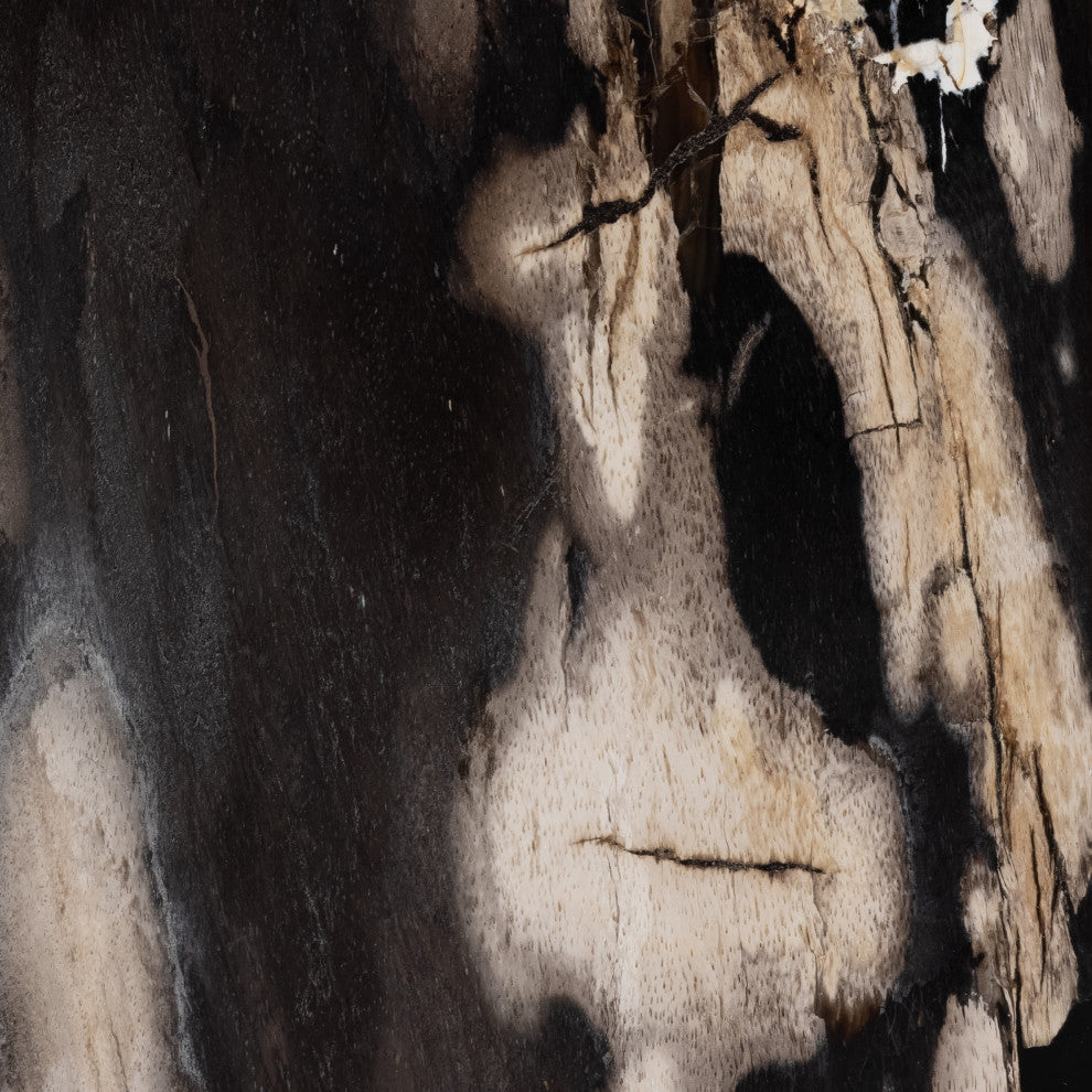 Bevin End Table, Dark Petrified Wood