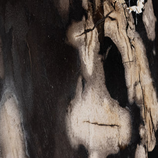 Bevin End Table, Dark Petrified Wood