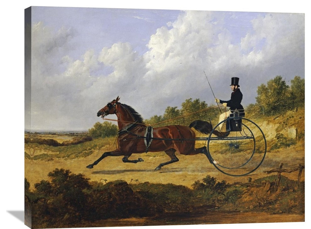 "Confidence', Drawing a Gig Driven By a Groom" Artwork, 36" x 28"