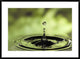 Ripples Radiating Out From Drop Of Water Splashing Into Calm Pool, 36"x26"