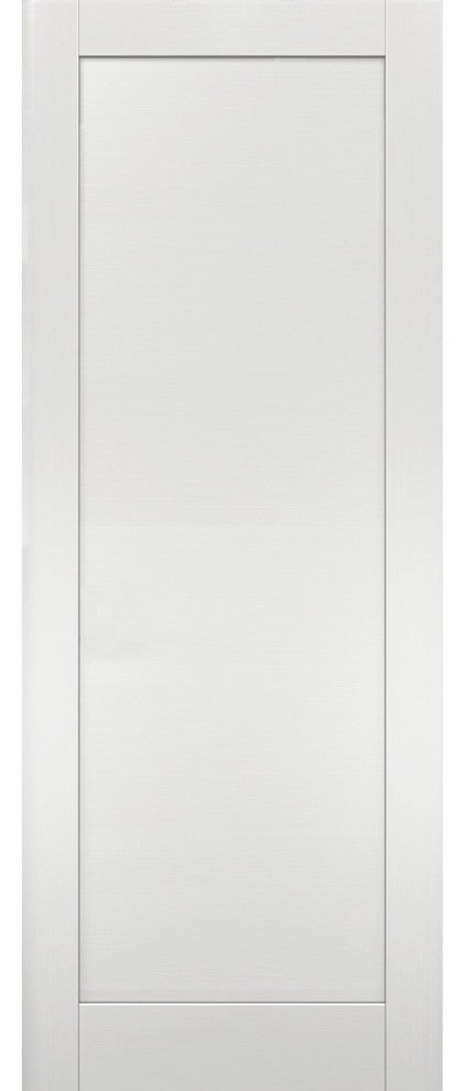 Slab Barn Door Panel 32 x 80 | Quadro 4111 White Ash | Pocket Closet