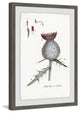 "Inspire Me with Plant" Framed Painting Print, 16"x24"