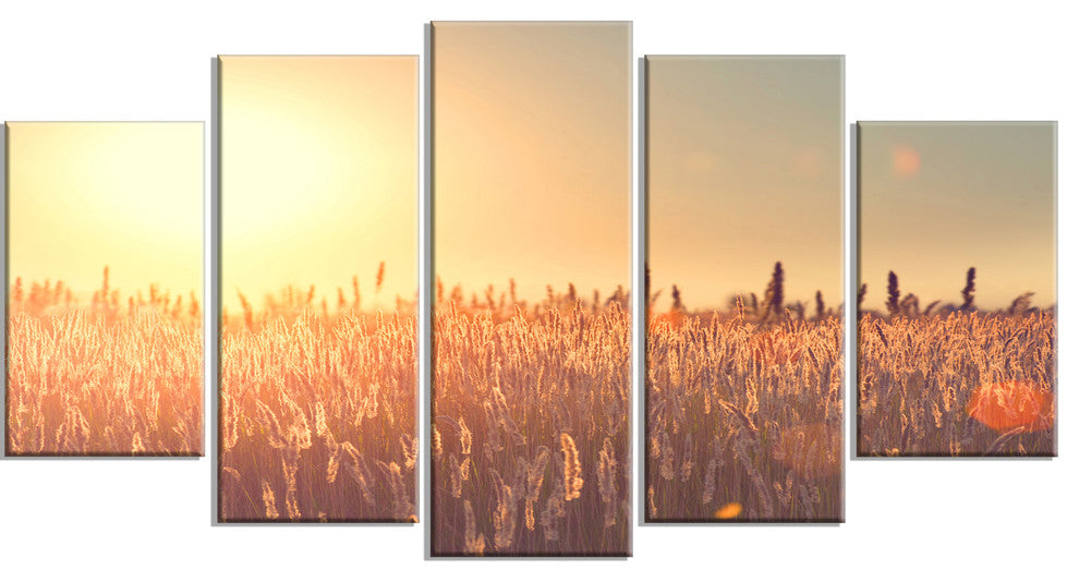 Rural Land under Shining Sun, Large Landscape Canvas Art, 60"x32", 5 Panels