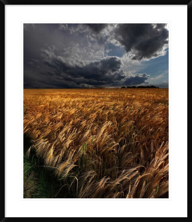 "Strohgaeu" Framed Digital Print by Franz Schumacher, 32x38"