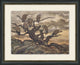 Wilderness 6, Giclee Reproduction Artwork