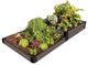 Weathered Wood Raised Garden Bed Terraced 4' x 8' x 11ï¿½ ï¿½ 1ï¿½ profile