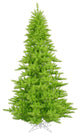 3'X25" Lime Fir Tree 234T