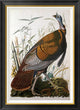 "Wild Turkey, Male" Framed Canvas Giclee by John James Audubon, 26x36"