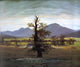 Caspar David Friedrich Landscape With Solitary Tree Wall Decal Print