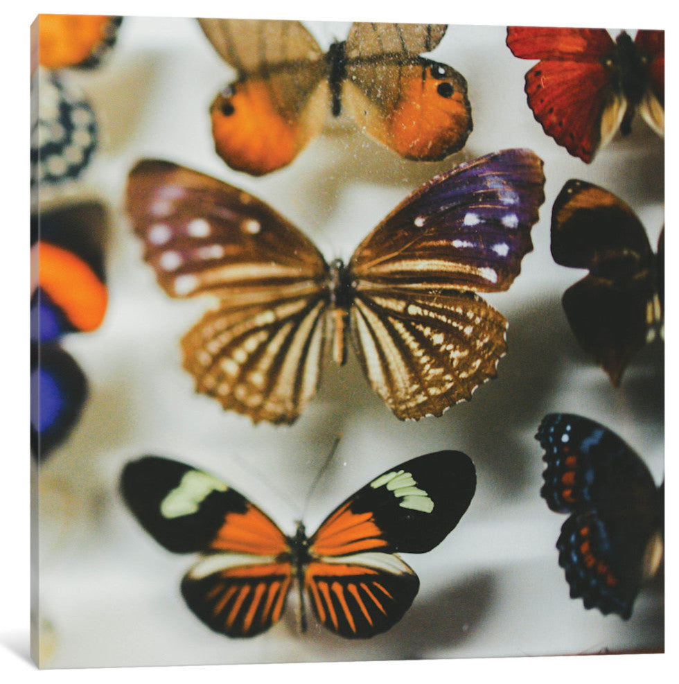 "The Fairy Collection" by Chelsea Victoria, 26x26x1.5