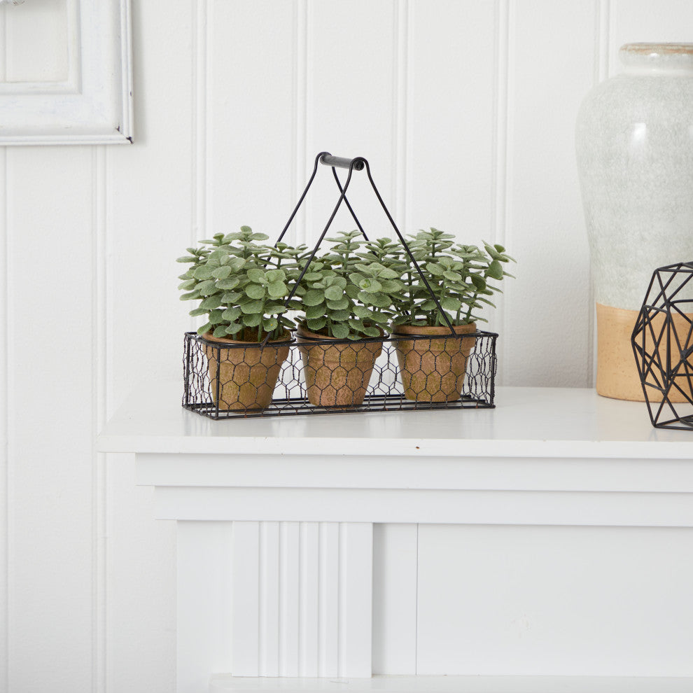 7" Mini Jade Garden Artificial Plant, Hanging Planter
