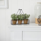 7" Mini Jade Garden Artificial Plant, Hanging Planter